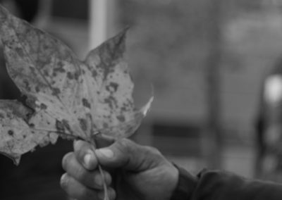 Documentaires