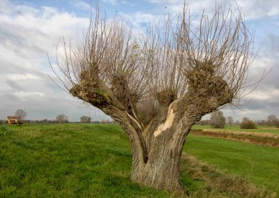 Natuur